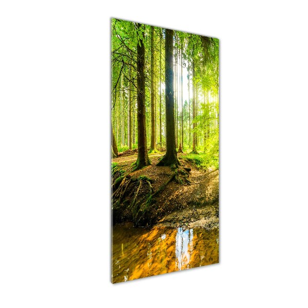 Staand foto plexiglas De zon in het bos