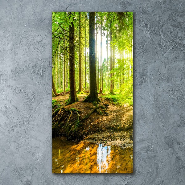 Staand foto plexiglas De zon in het bos