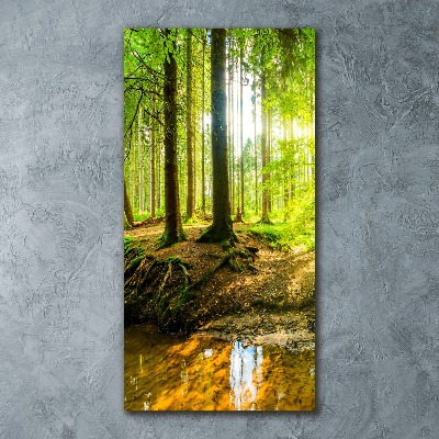 Obraz zdjęcie szkło akryl pionowy Słońce w lesie