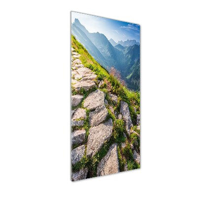 Staand foto in plexiglas Bergpad