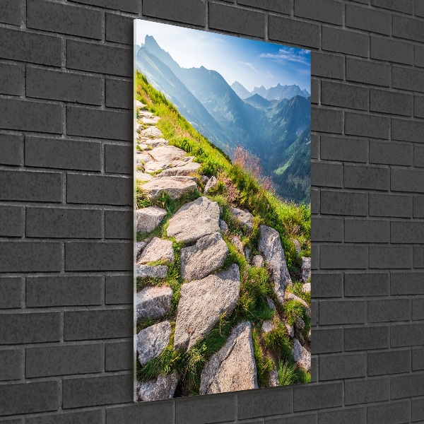 Staand foto in plexiglas Bergpad