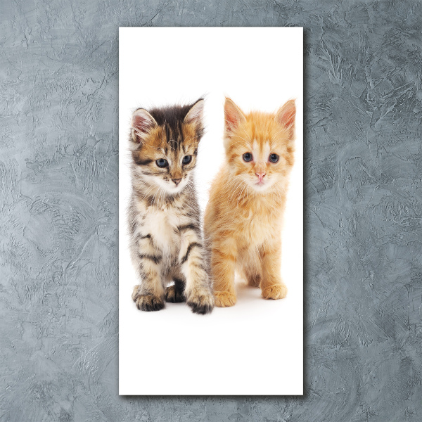 Staand foto op plexiglas Grijze en rosse kat