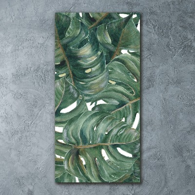 Obraz zdjęcie na ścianę akryl pionowy Monstera