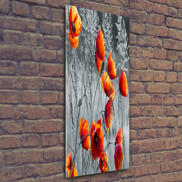 Staand foto op plexiglas Klaprozen