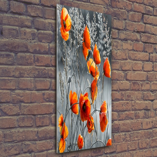 Staand plexiglas foto Klaprozen