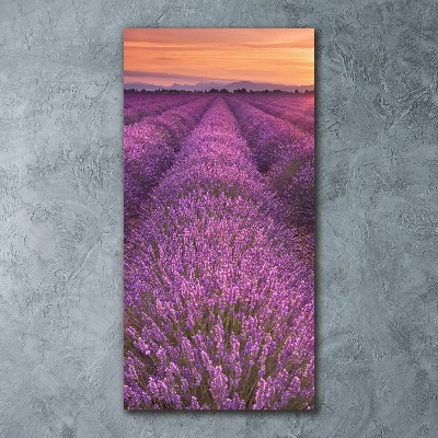 Obraz zdjęcie akryl pionowy Pole lawendy
