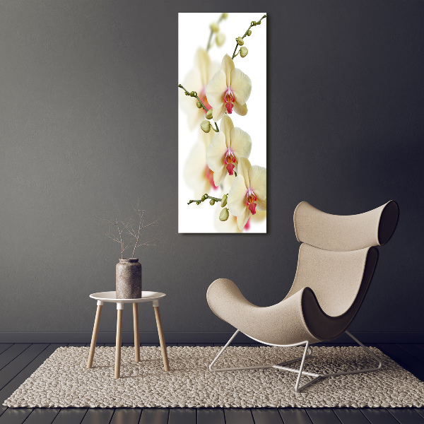 Staand foto in plexiglas Orchidee