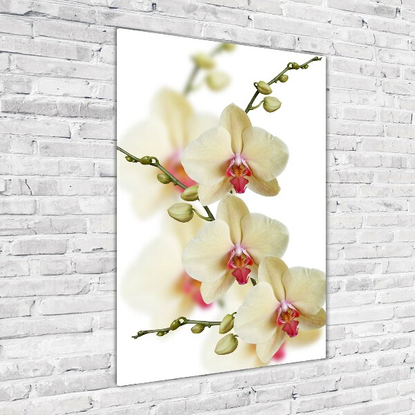Staand foto in plexiglas Orchidee
