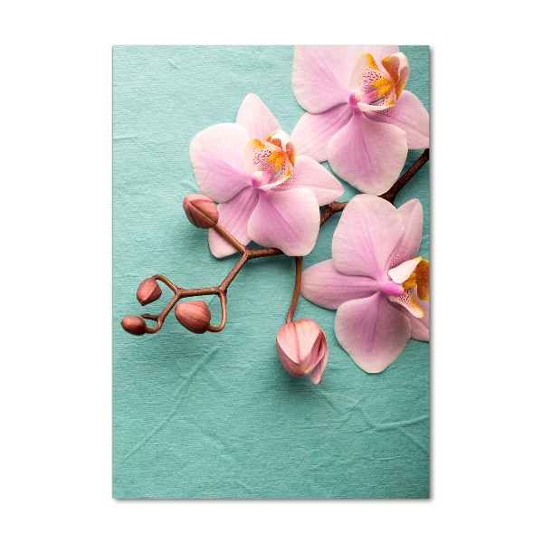 Staand plexiglas foto Roze orchidee