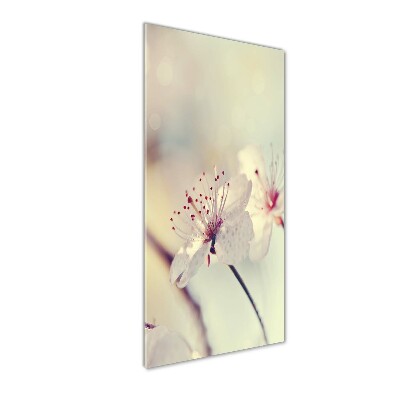Staand foto plexiglas Kersenbloesems
