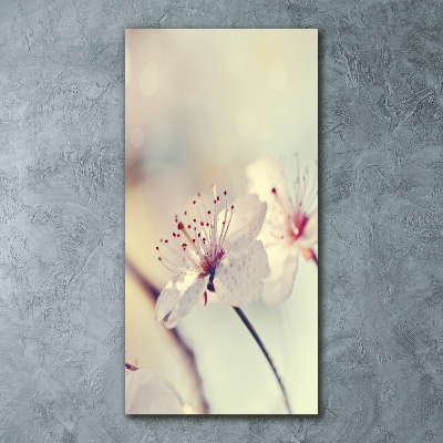 Staand foto plexiglas Kersenbloesems