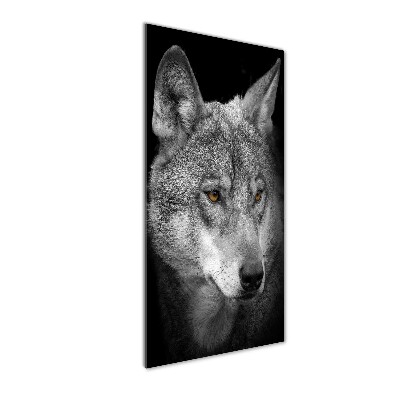 Staand foto plexiglas Portret van een wolf