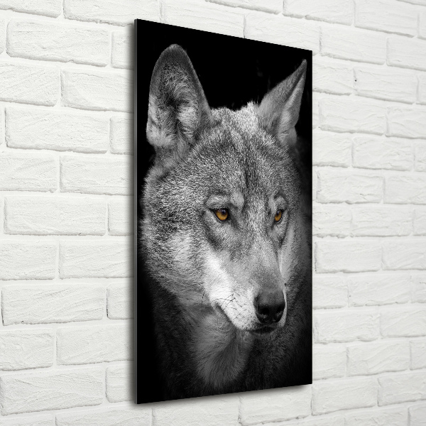 Staand foto plexiglas Portret van een wolf