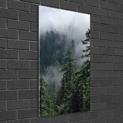 Staand foto op plexiglas Mist boven het bos