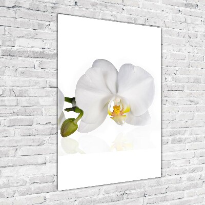 Staand foto plexiglas Witte orchidee