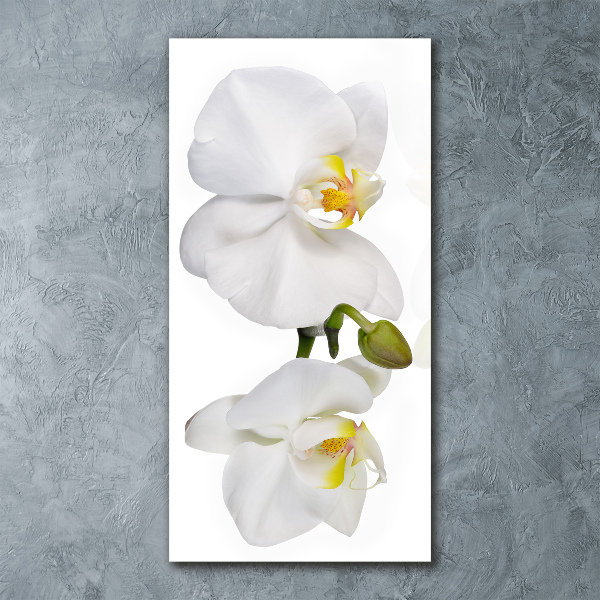 Staand foto plexiglas Witte orchidee