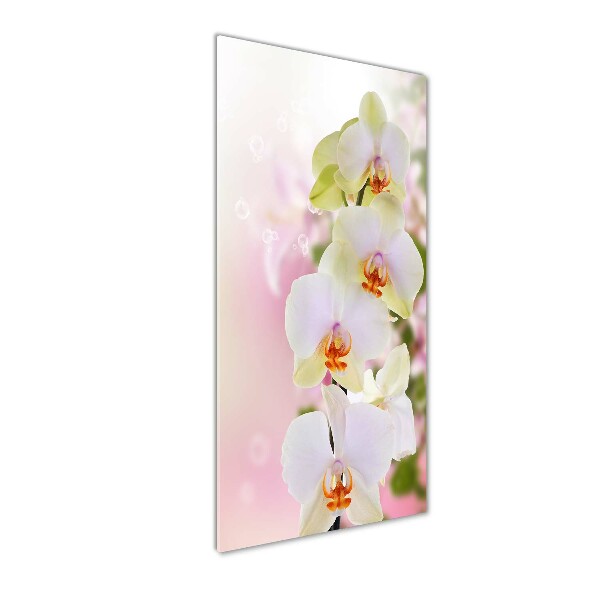 Staand foto in plexiglas Witte orchidee