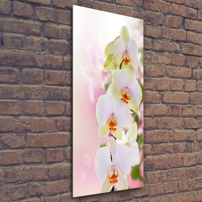 Staand foto in plexiglas Witte orchidee