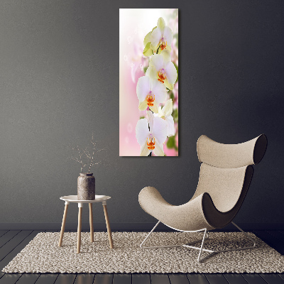 Staand foto in plexiglas Witte orchidee