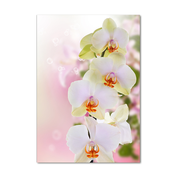 Staand foto in plexiglas Witte orchidee