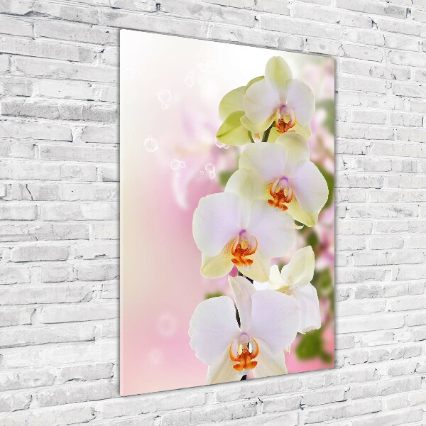 Staand foto in plexiglas Witte orchidee