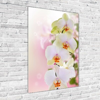 Staand foto in plexiglas Witte orchidee