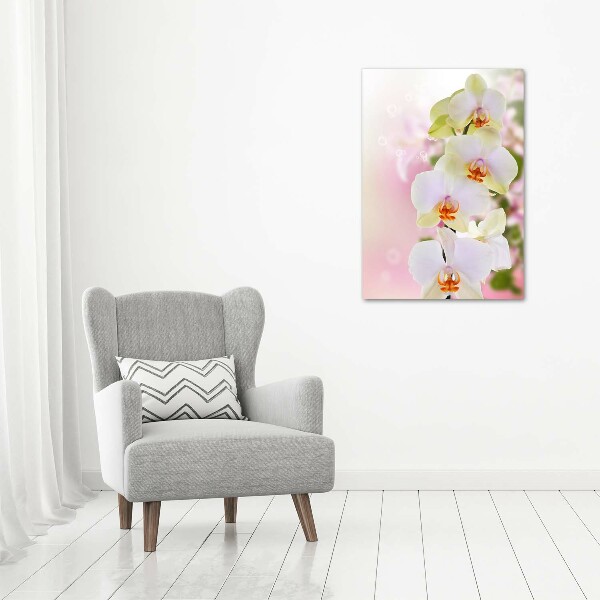 Staand foto in plexiglas Witte orchidee