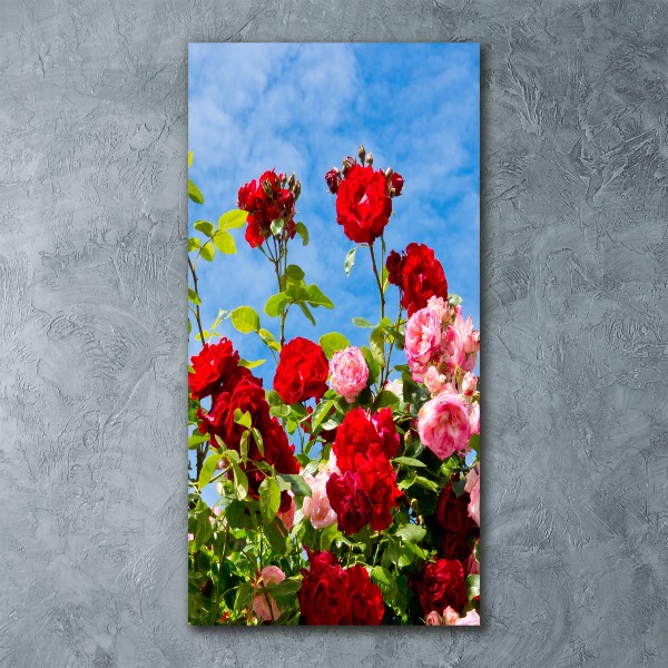 Obraz zdjęcie akryl pionowy Dzika róża