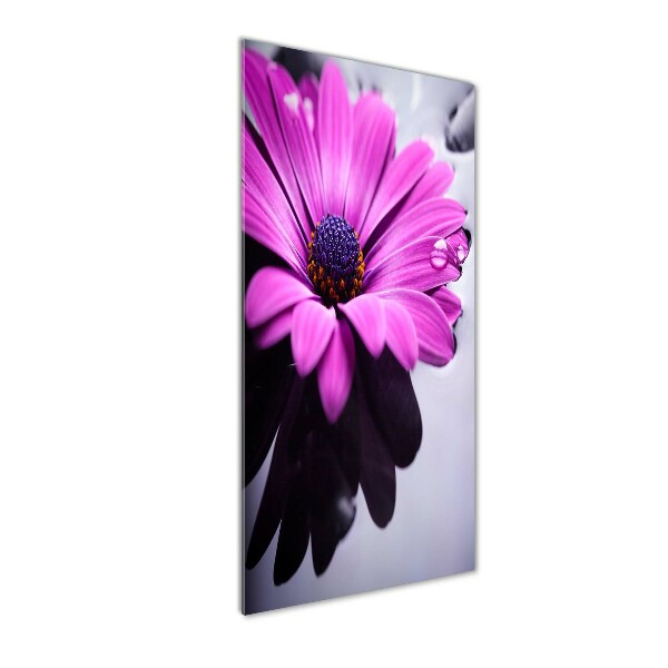 Staand foto plexiglas Roze gerbera