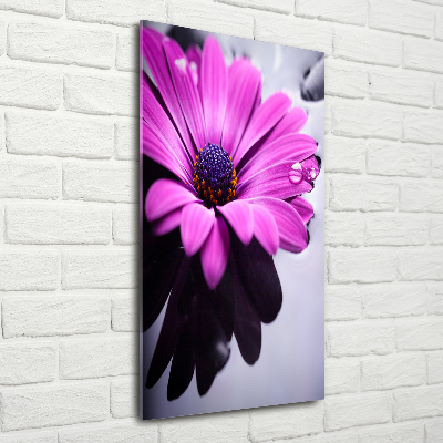 Staand foto plexiglas Roze gerbera
