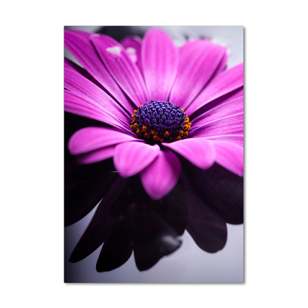Staand foto plexiglas Roze gerbera