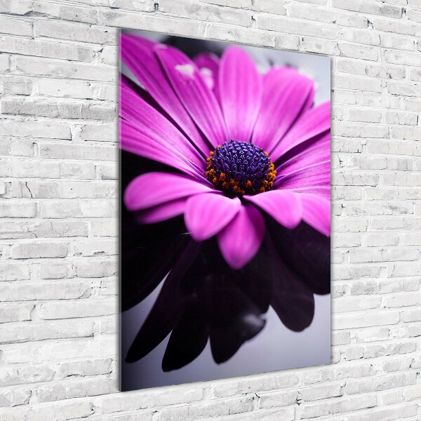 Staand foto plexiglas Roze gerbera