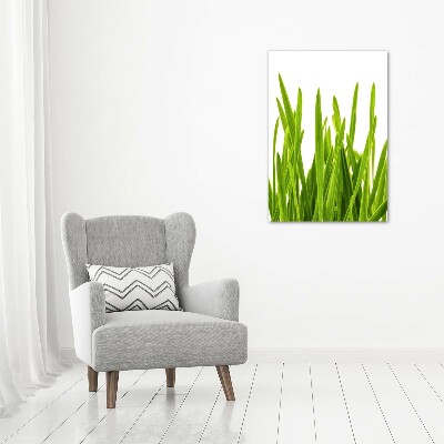 Staand foto in plexiglas Groen gras
