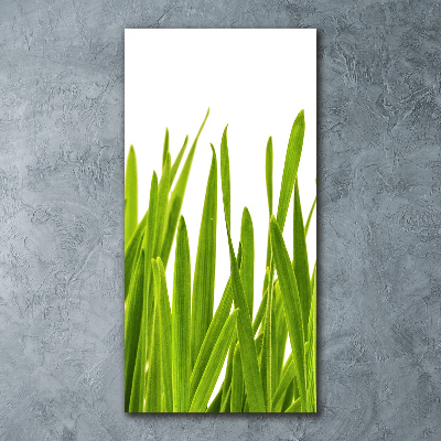 Staand foto in plexiglas Groen gras