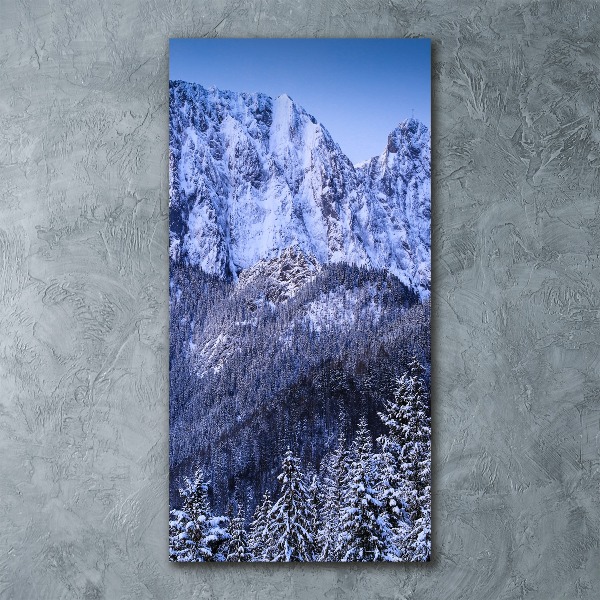 Staand foto plexiglas Giewont Tatra-gebergte