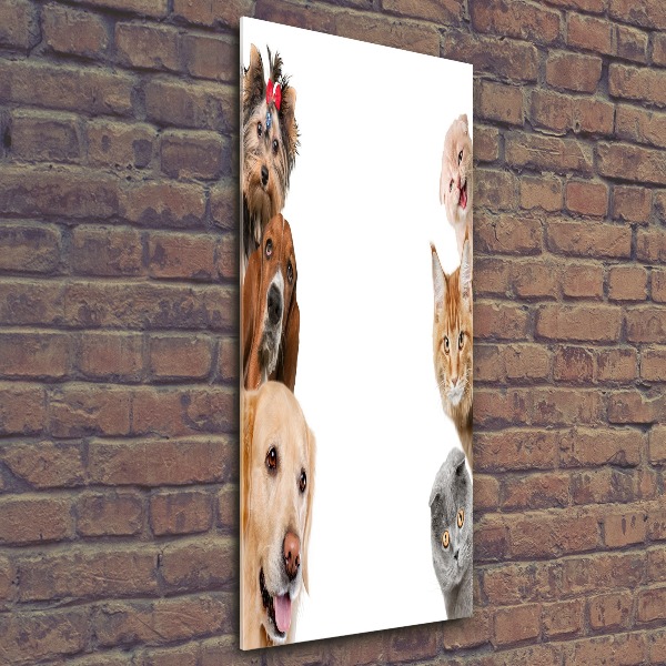 Staand foto op plexiglas Honden en katten