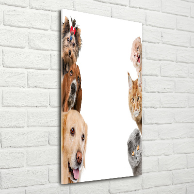 Staand foto op plexiglas Honden en katten