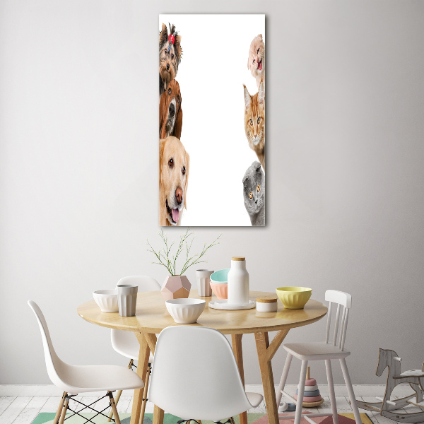 Staand foto op plexiglas Honden en katten