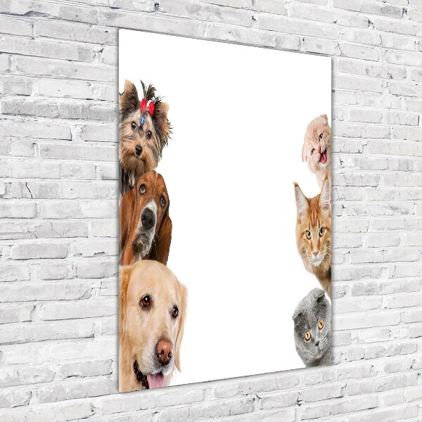 Staand foto op plexiglas Honden en katten