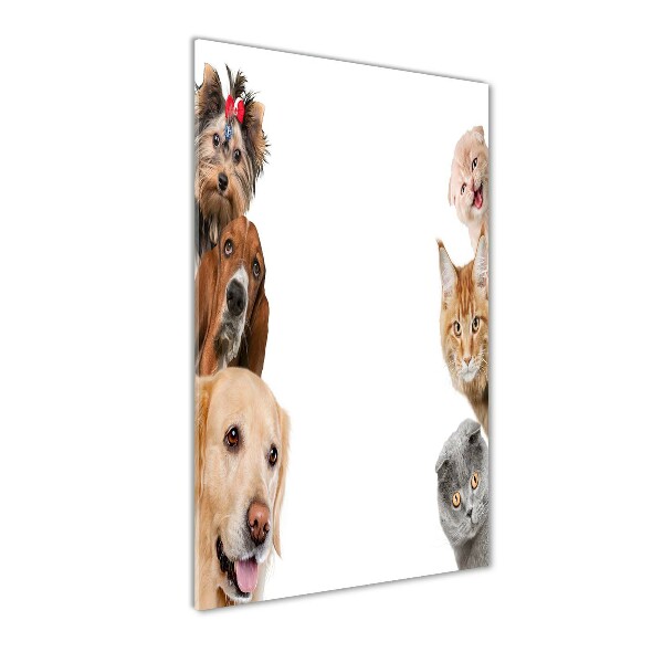 Staand foto op plexiglas Honden en katten