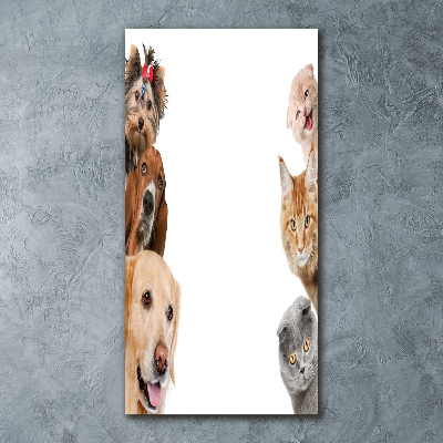 Staand foto op plexiglas Honden en katten
