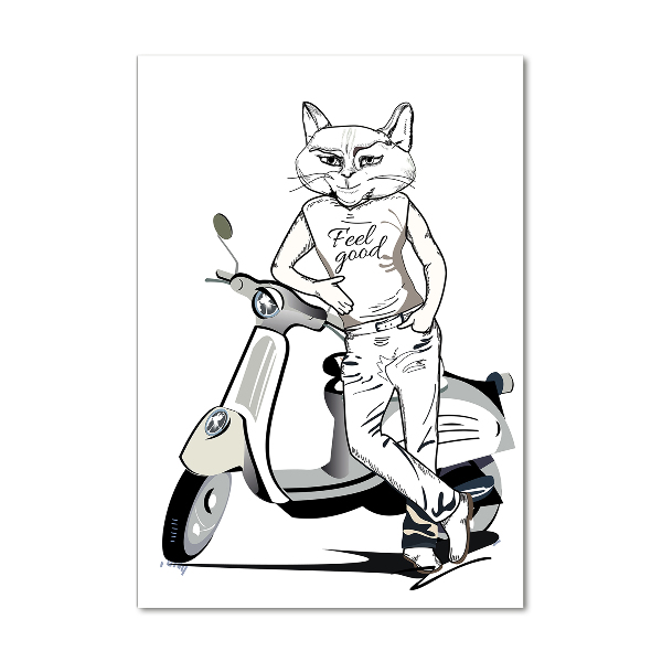 Staand plexiglas foto Kattenman