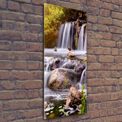 Staand foto op plexiglas Waterval