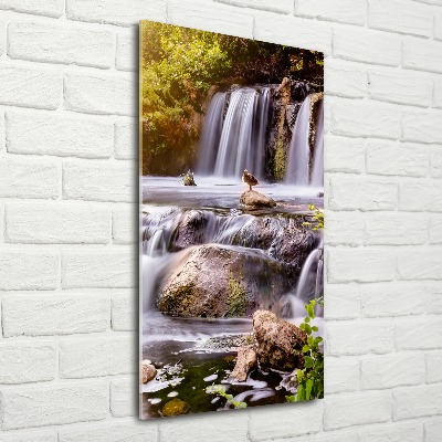 Staand foto op plexiglas Waterval