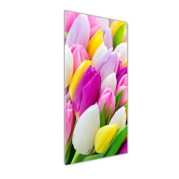 Staand foto in plexiglas Kleurrijke tulpen