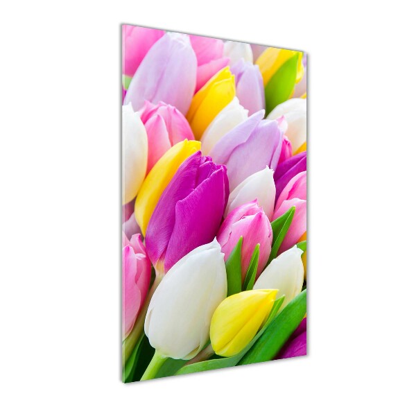 Staand foto in plexiglas Kleurrijke tulpen
