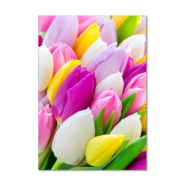 Staand foto in plexiglas Kleurrijke tulpen