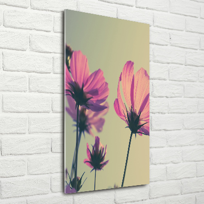 Staand plexiglas foto Roze bloemen