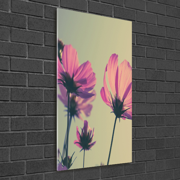 Staand plexiglas foto Roze bloemen