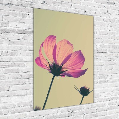 Staand plexiglas foto Roze bloemen